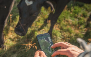 Inission secures significant order from Nofence for the Swedish market